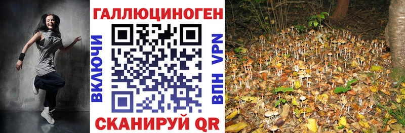 Галлюциногенные грибы Psilocybe Уржум